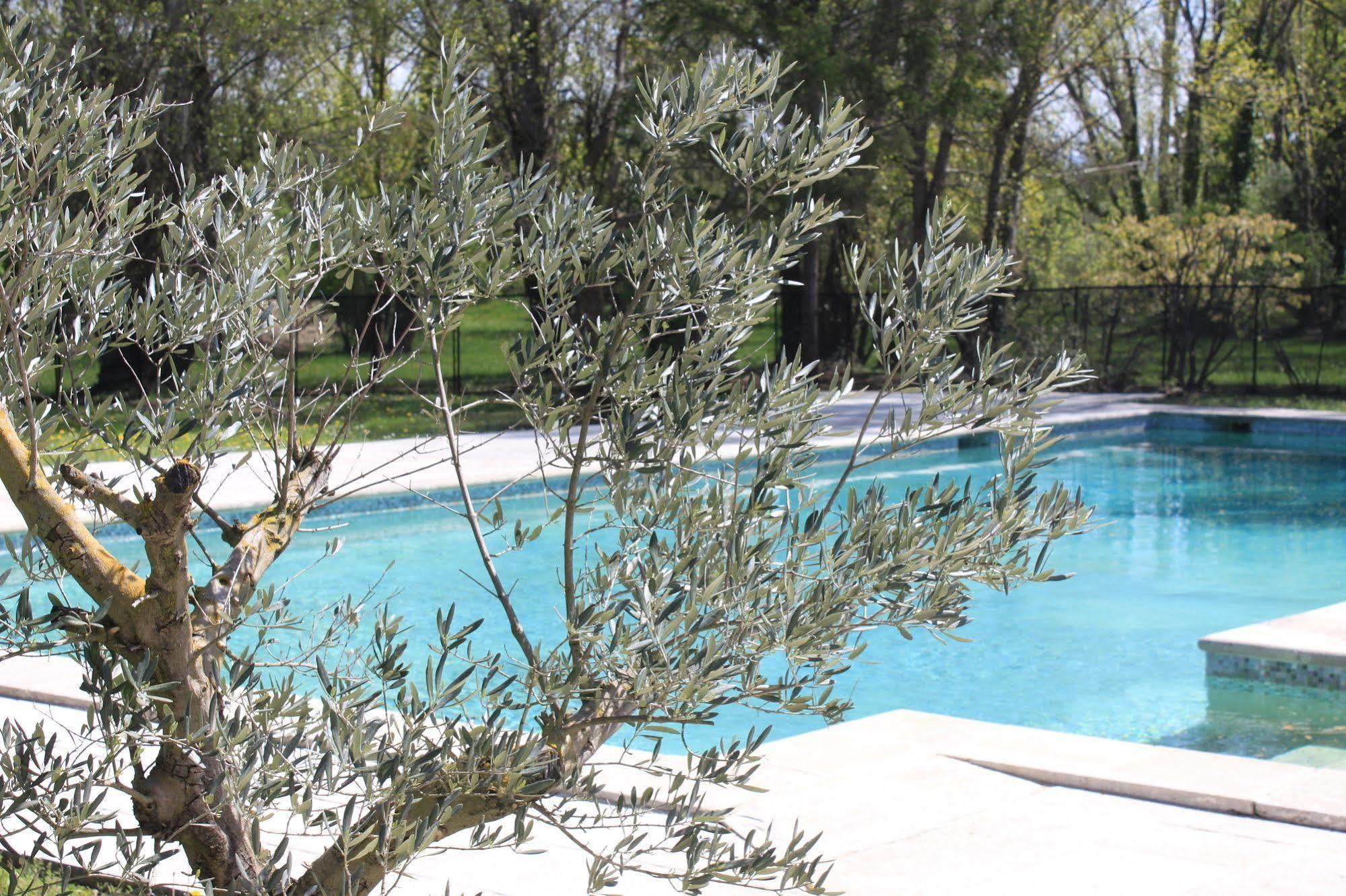 Hotel Mas De Cure Bourse LʼIsle-sur-la-Sorgue Εξωτερικό φωτογραφία