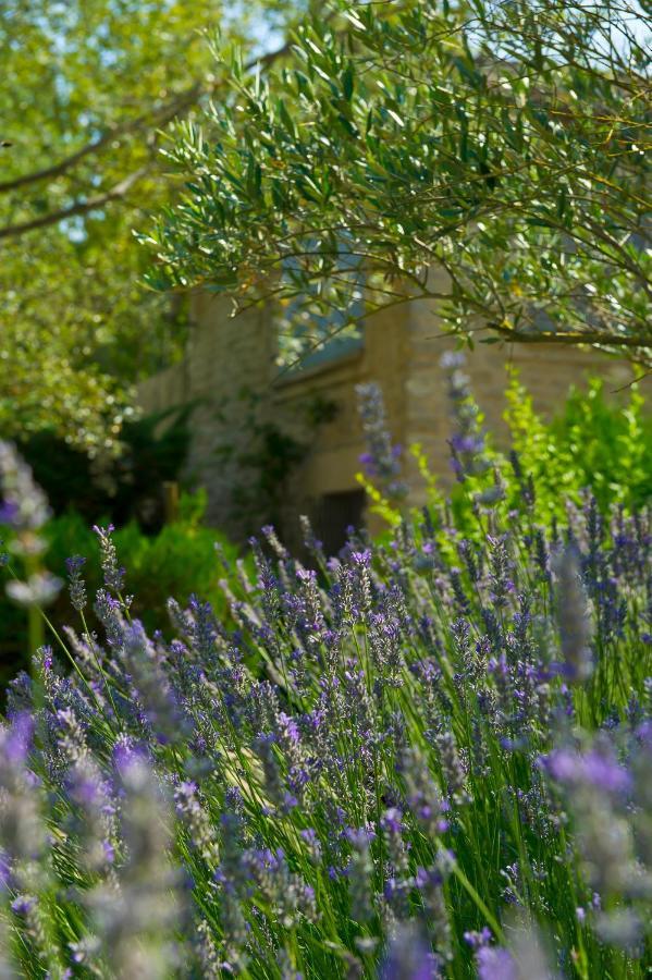 Hotel Mas De Cure Bourse LʼIsle-sur-la-Sorgue Εξωτερικό φωτογραφία
